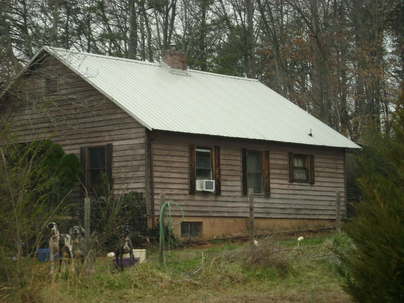 White metal roof on an old wood sided farmhouse, from a Asphalt Shingle Roof Repair job in West Harwich